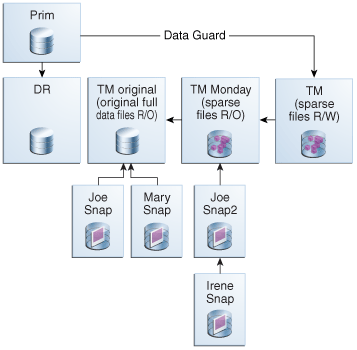 Description of Figure 9-17 follows