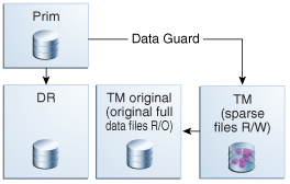 Description of Figure 9-15 follows