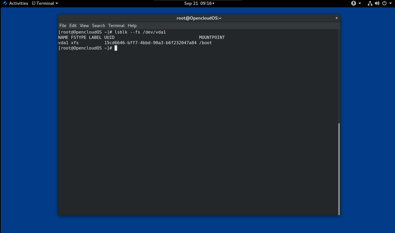 查看分区的 uuid 