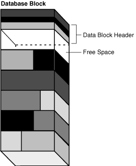Description of Figure 12-12 follows