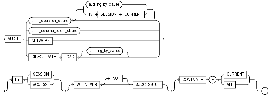 Description of audit.eps follows Description of audit.eps follows