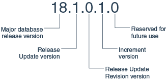 Description of Figure 1-1 follows