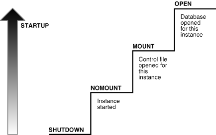 Description of Figure 15-3 follows
