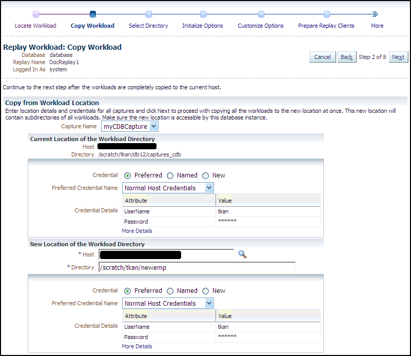 Description of dbr_replay_copy_wkload.gif follows Description of dbr_replay_copy_wkload.gif follows