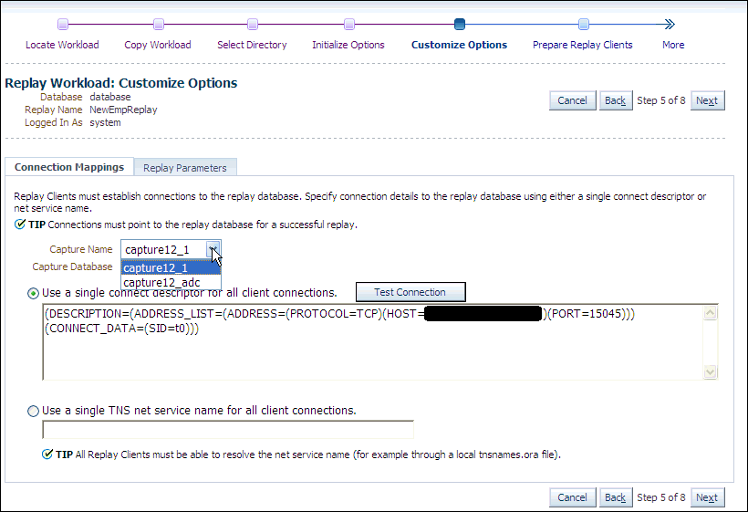 Description of dbr_replay_cust_options.gif follows Description of dbr_replay_cust_options.gif follows