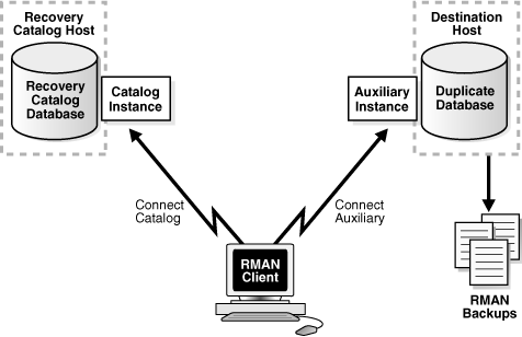 Description of Figure 24-2 follows