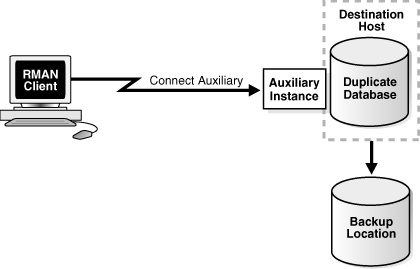 Description of Figure 24-3 follows