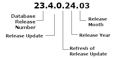 Description of Figure 1-1 follows