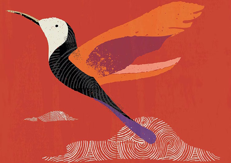 Description of bird.jpg follows Description of bird.jpg follows