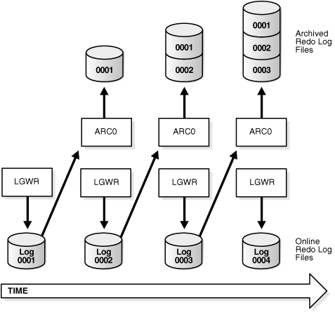 Description of Figure 10-1 follows