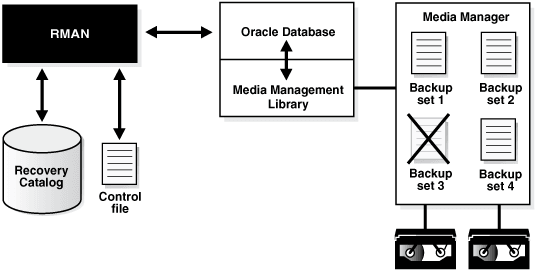 Description of Figure 12-1 follows Description of Figure 12-1 follows