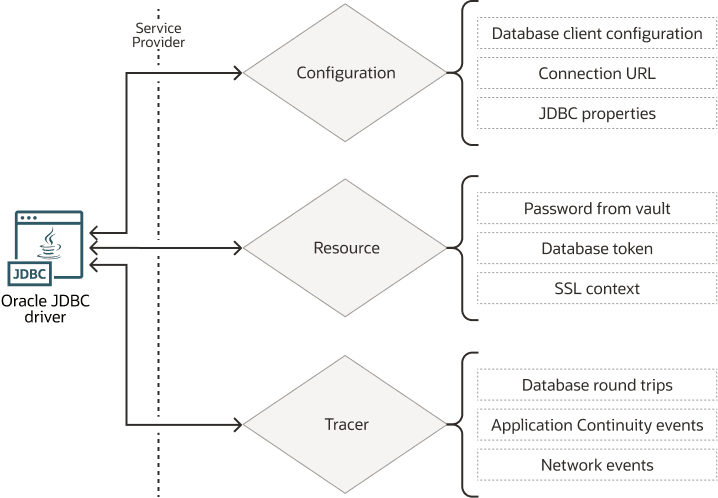 This image illustrates the Service Provider extensions.