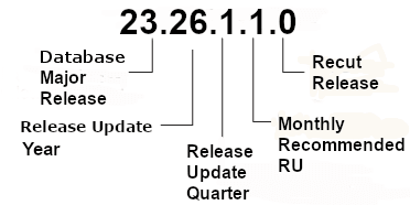 Description of Figure 1-1 follows
